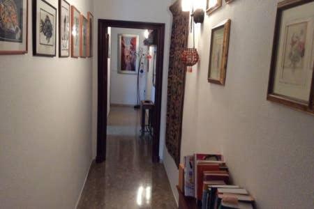Homestay En Plaza Candelaria, Casco Antiguo Cádiz Exterior foto